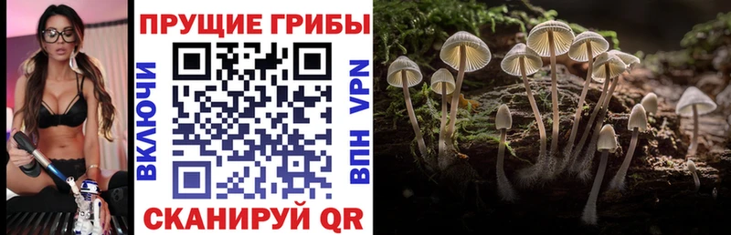 Псилоцибиновые грибы ЛСД  даркнет сайт  Разумное 